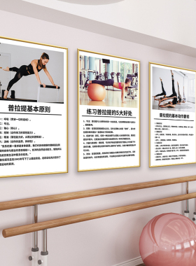 普拉提挂画瑜伽馆墙面创意装饰画健身房工作室背景墙壁画宣传海报