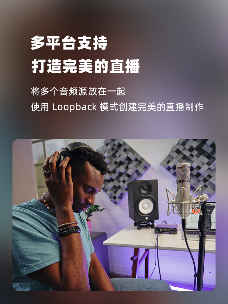 定制Apogee Boom声卡内置DSP双通道专业录音混音直播音频接口怡同-图1