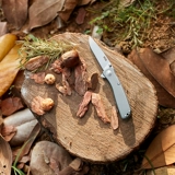 Sog изящный кемпинг нож для дикой природы.