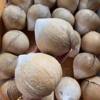 Fresh coconut coconut imported from Thailand