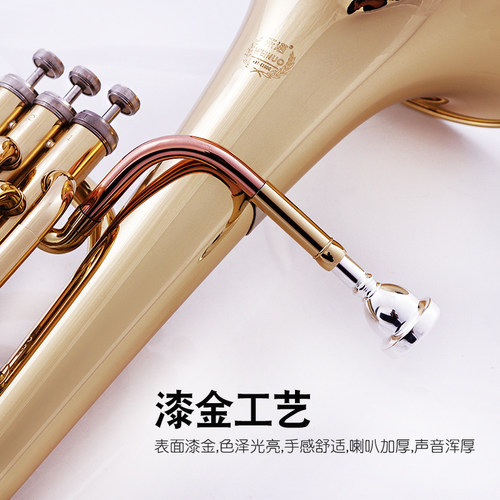 未诺立键次中音号乐器降B调抱号巴里东初学演奏考级乐队VTB-E100 - 图2