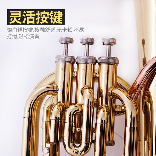 未诺立键次中音号乐器降B调抱号巴里东初学演奏考级乐队VTB-E100 - 图0