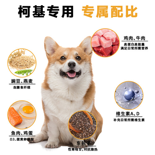 贝肯奇柯基专用狗粮20斤成犬幼犬10kg小型犬冻干狗粮40斤装 - 图0