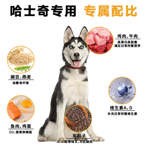 贝肯奇哈士奇二哈狗粮专用幼犬成犬40斤20kg大型犬中型犬冻干狗粮 - 图0
