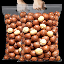 Rat Great Cook New Stock Hawaiian Fruits 500g Cream Taste Nuts Dried Fruits Nuts in Bulk Pregnant Women Snack Wholesale