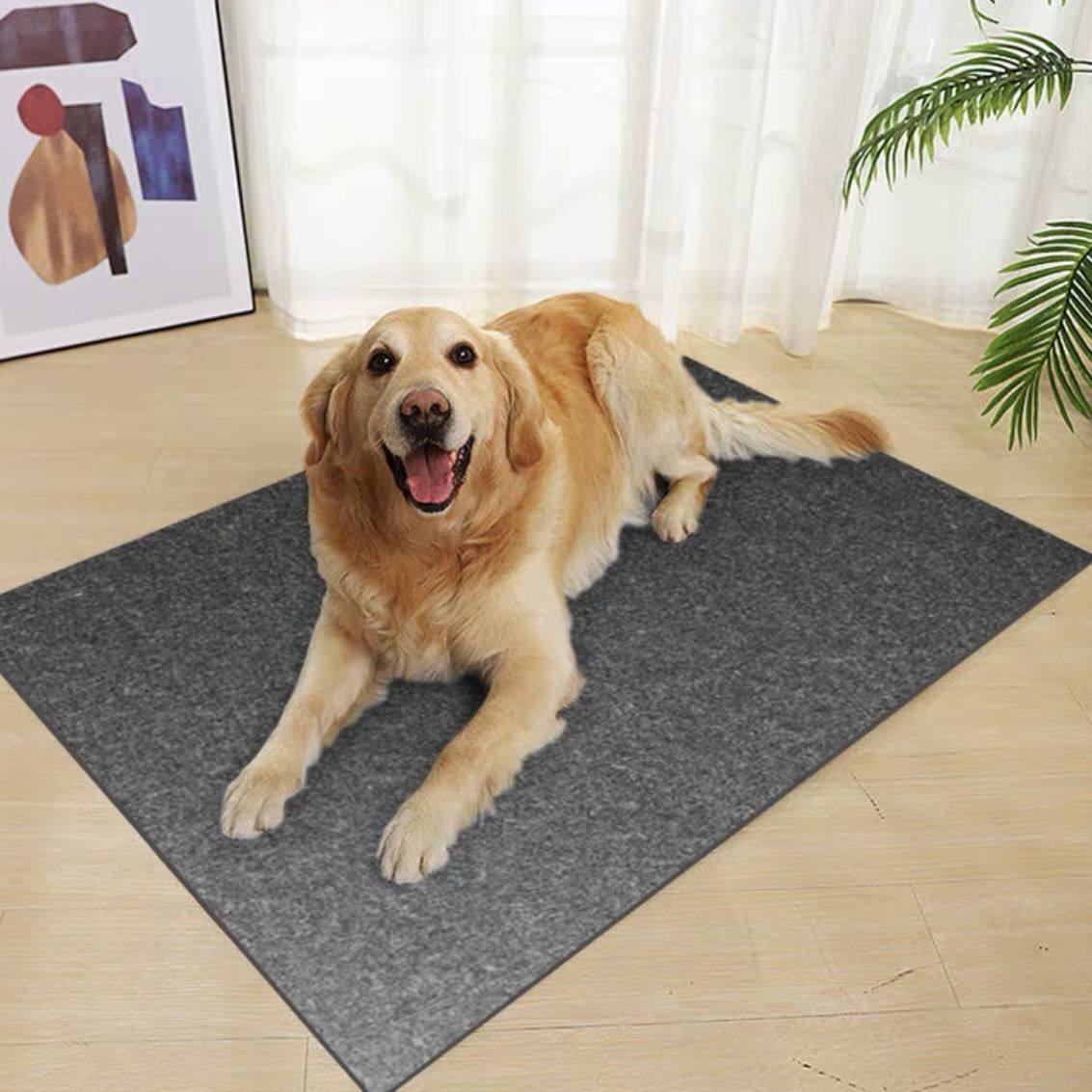 狗垫子防撕咬宠物地垫睡觉用狗窝四季通用大型犬防滑防水狗笼垫板,淘宝优惠券,粉丝福利购,淘宝优惠卷