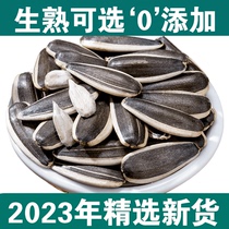 Fresh Stir-fried Original Taste Large Grain New Goods Raw Melon Seeds Inner Mongolia Sunflower Seeds Nuts Fried Stock Snack Bulk Bags