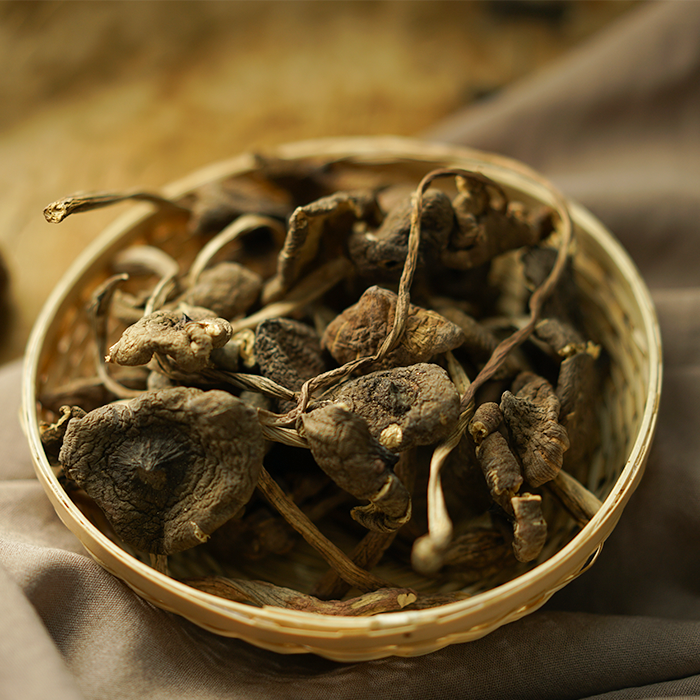 丽江特产鸡枞菌美味鸡枞菌鸡棕菌干货云南特产野生菌 50克_虎窝淘