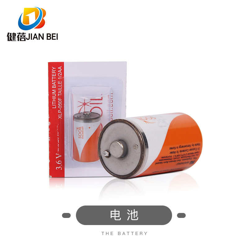 丹纳2S原装进口电池胰岛素泵配件DANAIIS泵R泵用国产电池耗材管路 - 图0