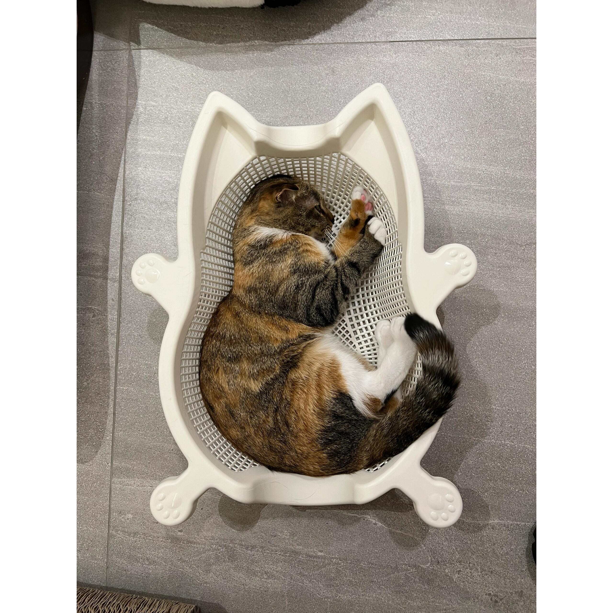 菜篮子猫窝夏季透气凉爽降温猫床加厚PP舒适耐抓垫子可水洗宠物窝,淘宝优惠券,粉丝福利购,淘宝优惠卷