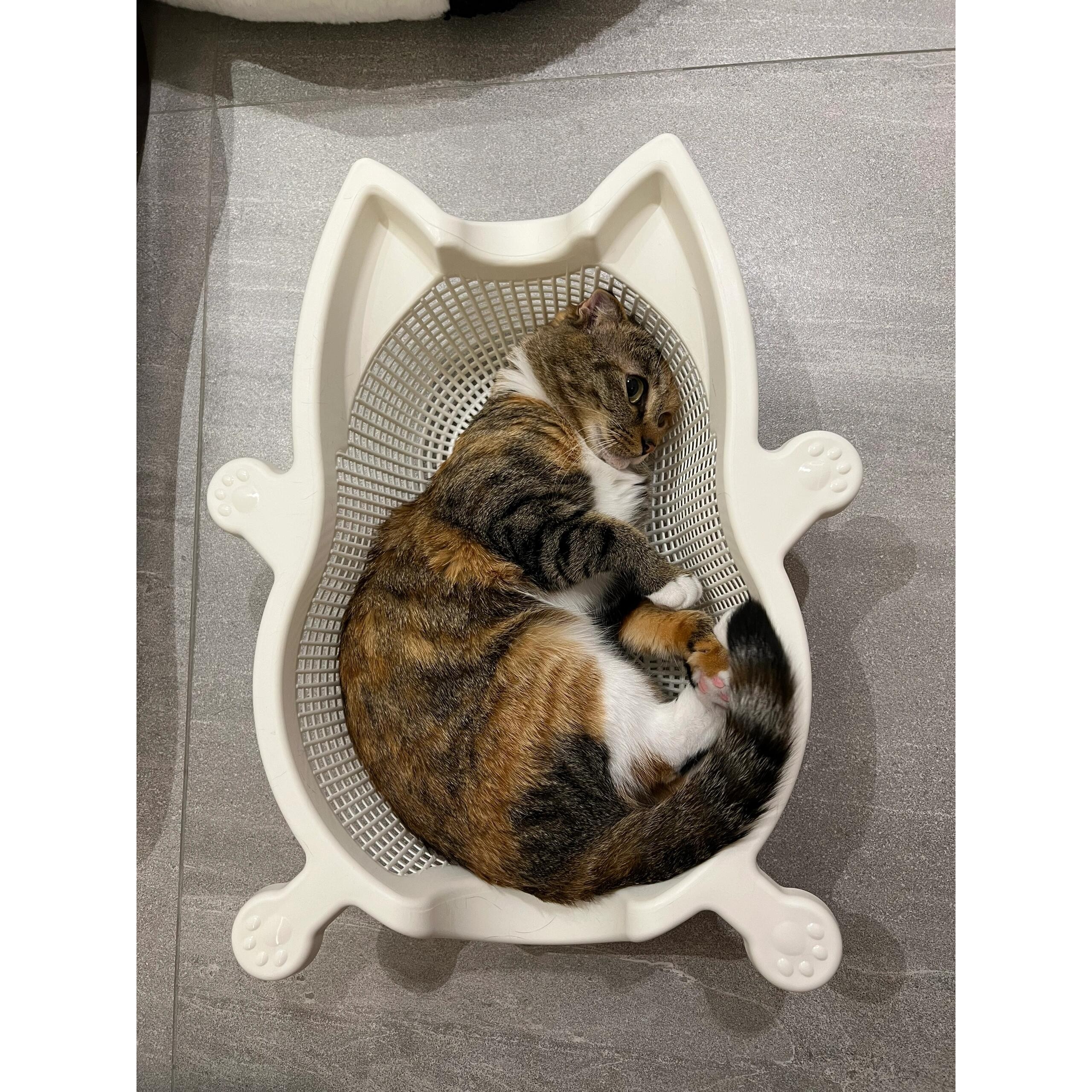 菜篮子猫窝夏季透气凉爽降温猫床加厚PP舒适耐抓垫子可水洗宠物窝,淘宝优惠券,粉丝福利购,淘宝优惠卷