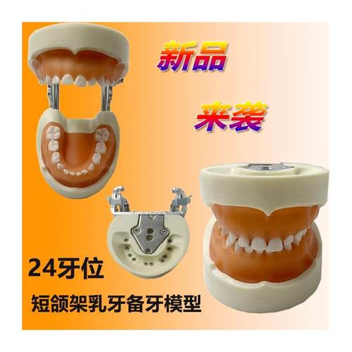 牙科备牙模型口腔考试学生练习制备窝洞嵌体冠可R拆卸牙齿开髓排 - 图3