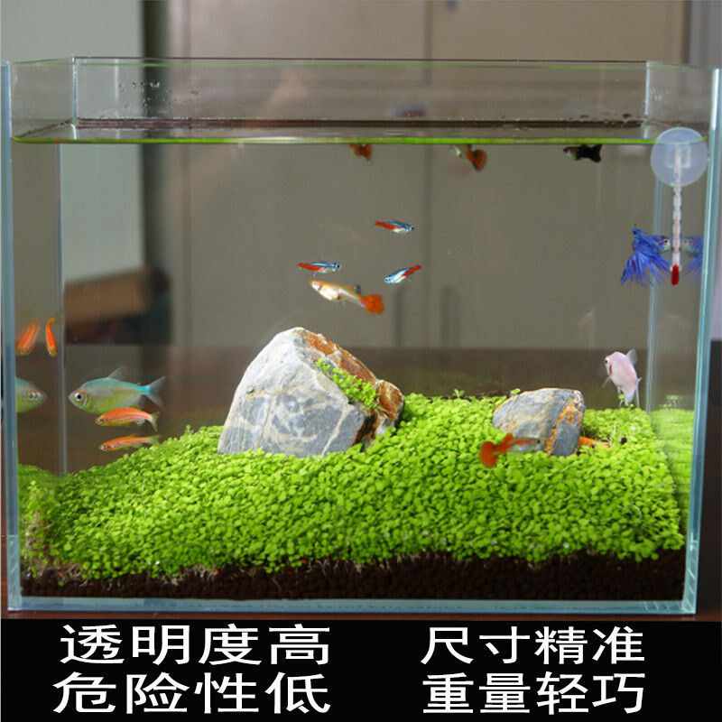 有机超白缸 新人首单立减十元 22年5月 淘宝海外