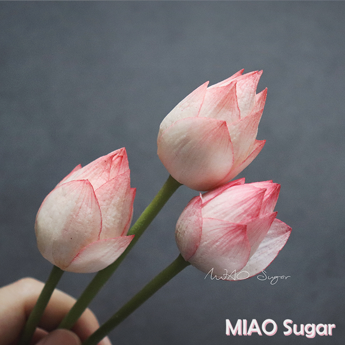 【喵糖】荷花花瓣纸型模板花瓣模型阿苗独家手工纸花diy模板包邮 - 图1