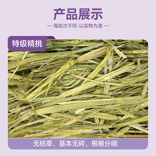 予诺佑宠·澳麦草澳洲燕麦草翡翠黄金澳麦进口晒干兔子荷兰猪龙猫 - 图0