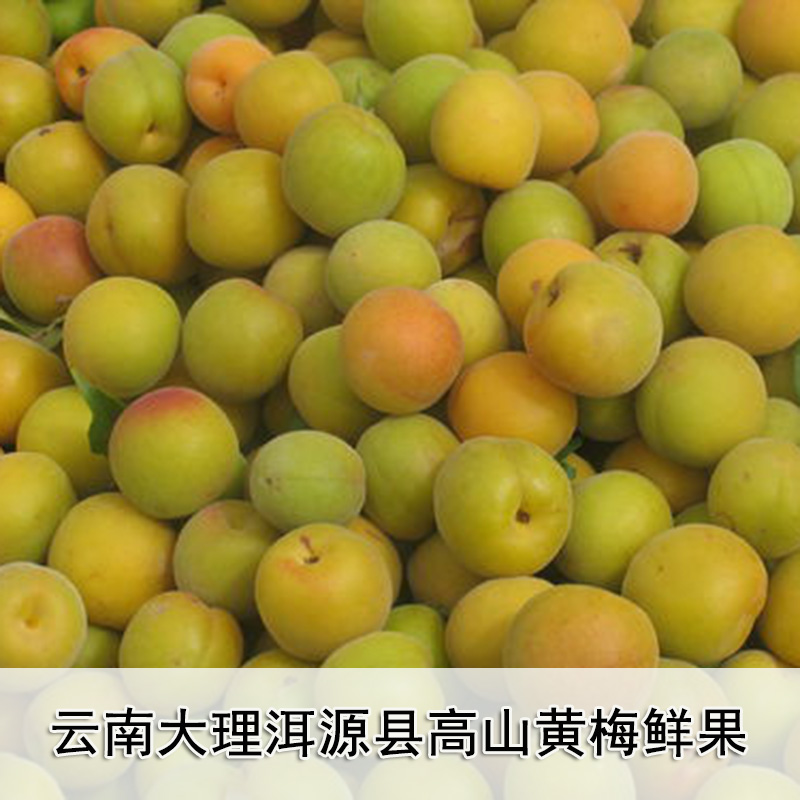 商品详情图片