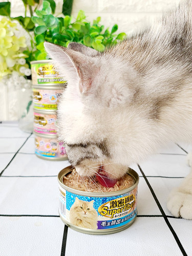麦芽熊 进口激密纤维猫罐头猫零食浓汤/啫喱罐补水拌猫粮24罐 - 图1