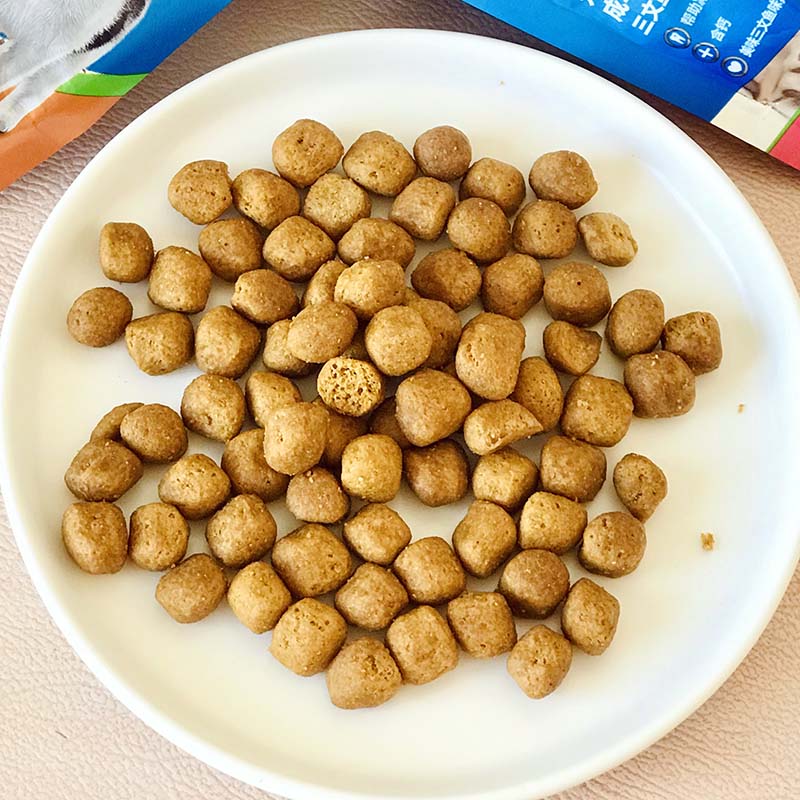 Dentalife齿一生猫饼干猫咪零食鸡肉三文鱼口味50g - 图0