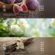 Earth Woman Spray ນໍ້າຫອມ Avon/Avon