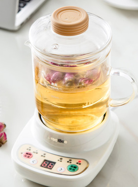 办公室养生全自动分体电炖杯