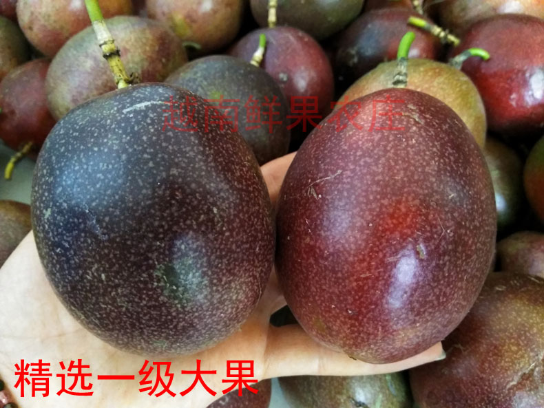 泰国特级巨无霸大果邮百香果图片_2
