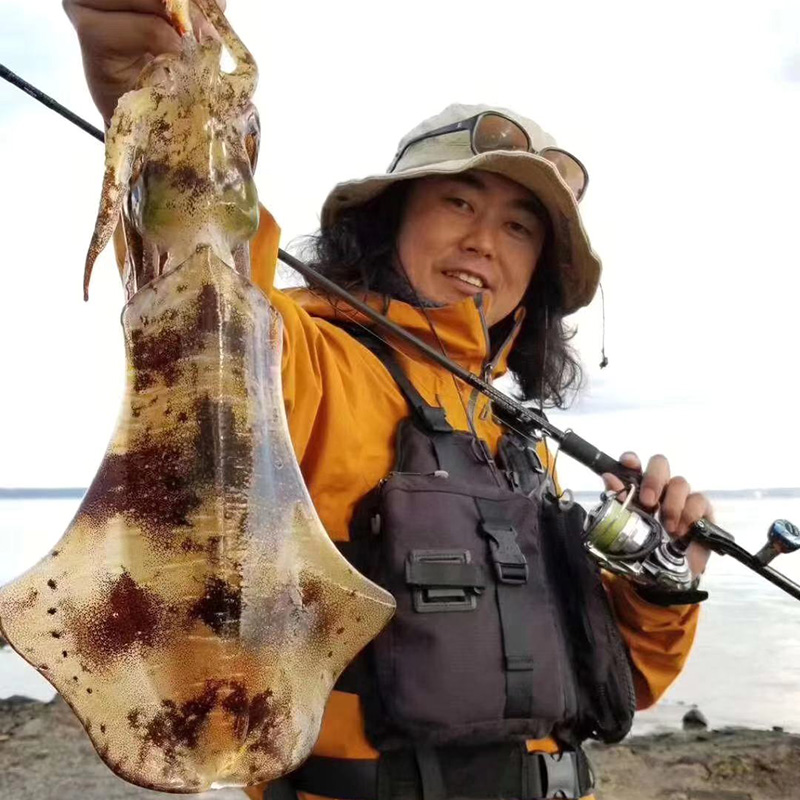 东山岛本港海鲜大尾鱿鱼软时刺身莱式拟乌贼井瓶枪乌贼软丝 - 图0