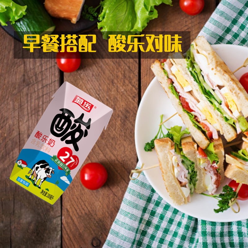 菊乐酸乐奶200ml*10瓶含乳饮品乳酸饮料四川特产营养早餐牛奶酸奶 - 图2