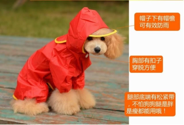 外出宠物雨衣狗狗披泰迪比熊博美贵宾四脚衣服连帽防水服装休闲 - 图1