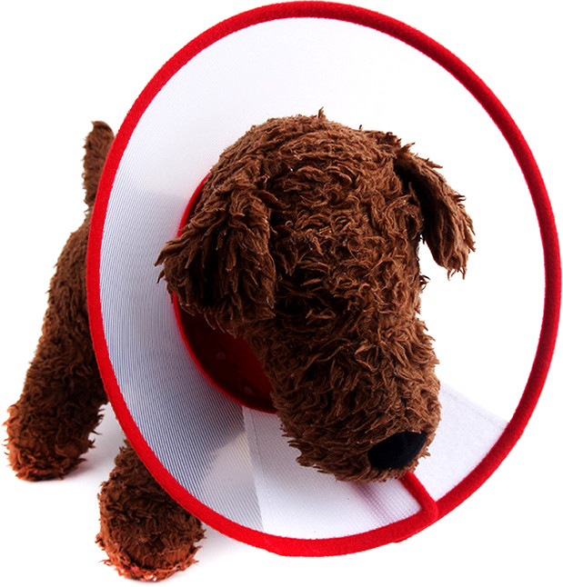 狗狗伊丽莎白圈猫狗脖套宠物防抓防咬圈美容防护罩大型犬头套项圈,淘宝优惠券,粉丝福利购,淘宝优惠卷