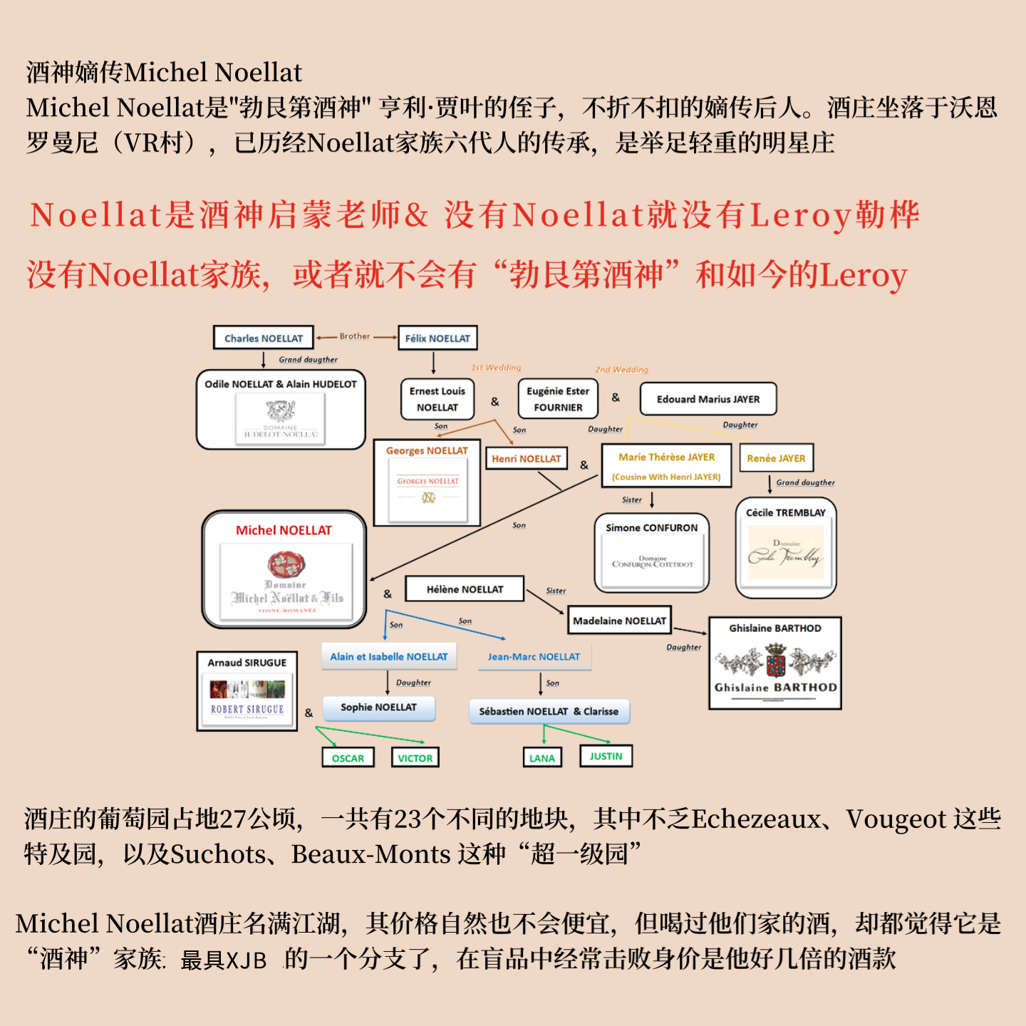 快抢！法国勃艮第米歇尔诺拉阿里高特BourgogneAligote干白葡萄酒 - 图1