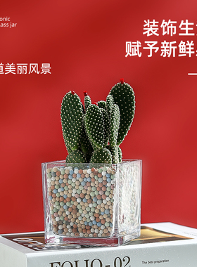 方缸玻璃花盆透明植物水培花瓶