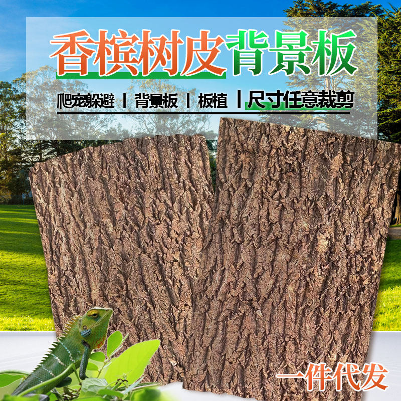 真树皮软木树皮香槟树皮爬宠鱼缸造景绿植装饰水族装饰贴墙背景板,淘宝优惠券,粉丝福利购,淘宝优惠卷