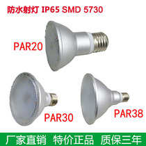 LED light source 7W12W15W adjustable light LED spotlight E27 screw mouth PAR20Par30Par38 waterproof spotlight