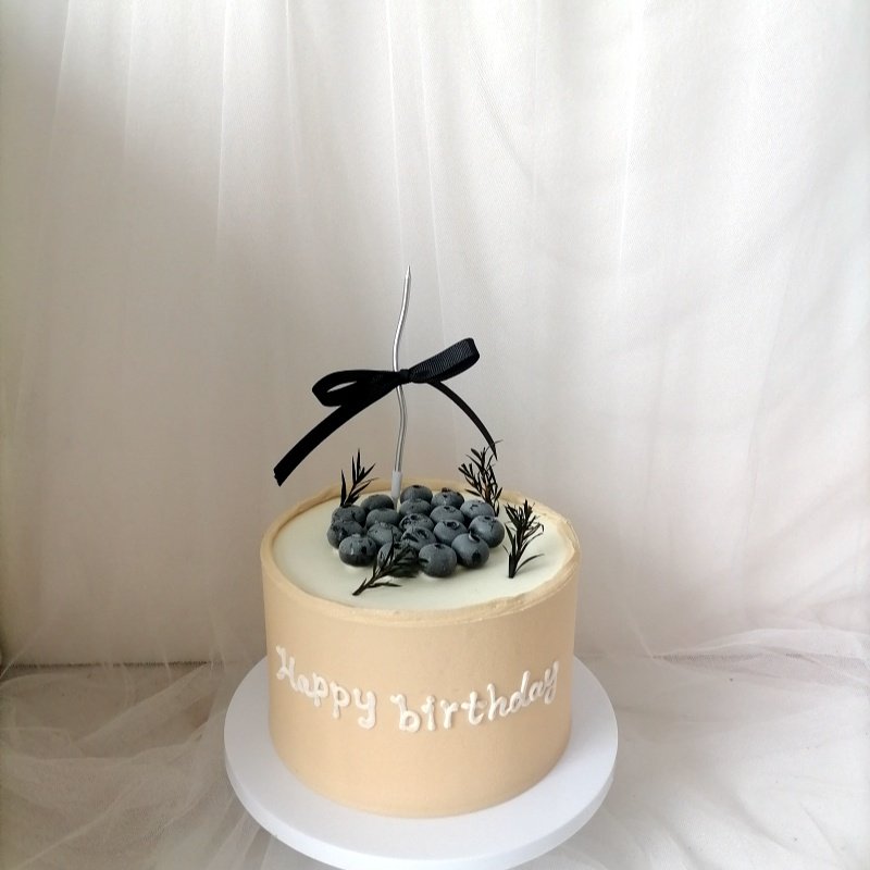 新款黑色丝带水果蛋糕模型网红款拍照摄影道具蛋糕样品摆件橱窗,淘宝优惠券,粉丝福利购,淘宝优惠卷