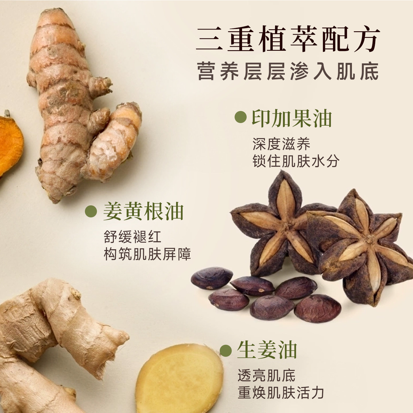 章小蕙sudtana姜黄精华油姜黄面油面部修护精油按摩舒缓焕亮熬夜,淘宝优惠券,粉丝福利购,淘宝优惠卷