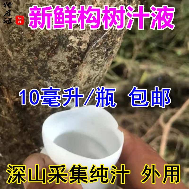 正宗新鲜构树汁液楮桃树汁10ml包邮 褚树原汁现采发货 入用药涂抹 - 图0