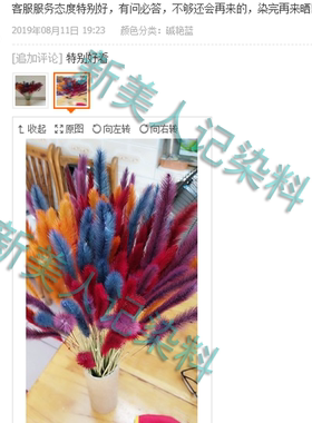 干花狗尾草叶脉木头红蛋碱性染料
