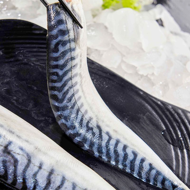 日式水产青花鱼片5KG装规格齐全烤鱼料理店食材生煎冷冻原日料店,淘宝优惠券,粉丝福利购,淘宝优惠卷