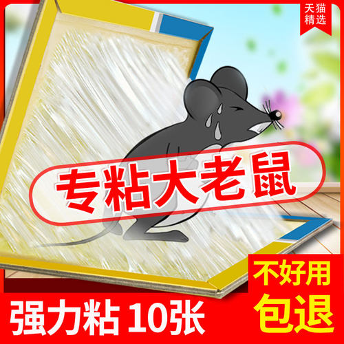 10张超强力粘鼠板捉抓粘贴驱胶药灭捕鼠夹神器窝端一大小老鼠捕捉 - 图0