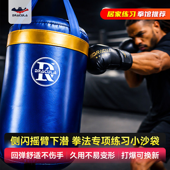 Home hanging punching bag reaction training