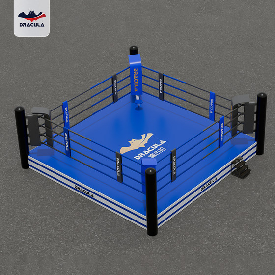 DRACULA fighting ring martial arts Sanda training