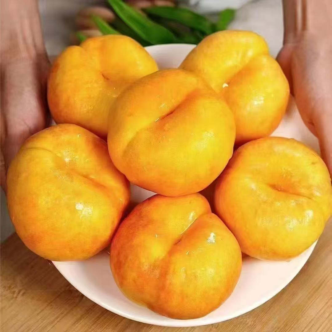 图5