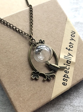 唯美蒲公英植物干花玻璃球项链