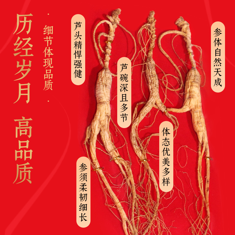 康美新开河野山参 二等品礼盒装 15年长白山人参节日送礼泡酒煲汤 - 图2