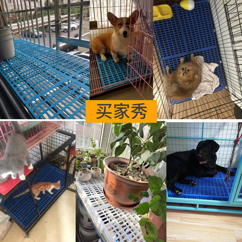 图5