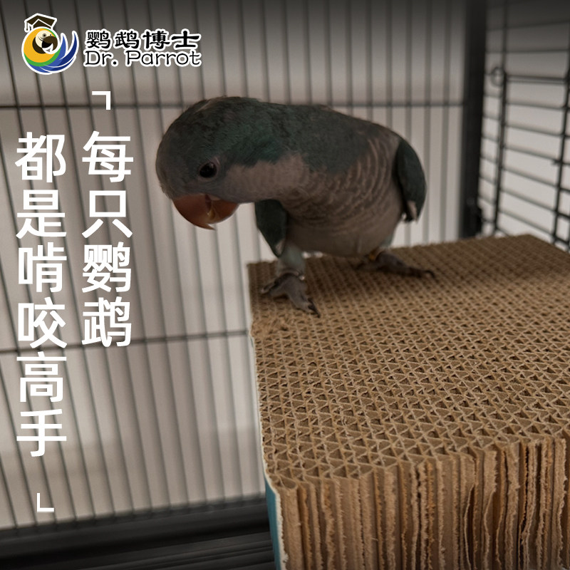 鹦鹉博士鹦鹉玩具鸟千层饼窝垫材啃咬发泄站板解压解闷防咬毛磨嘴,淘宝优惠券,粉丝福利购,淘宝优惠卷