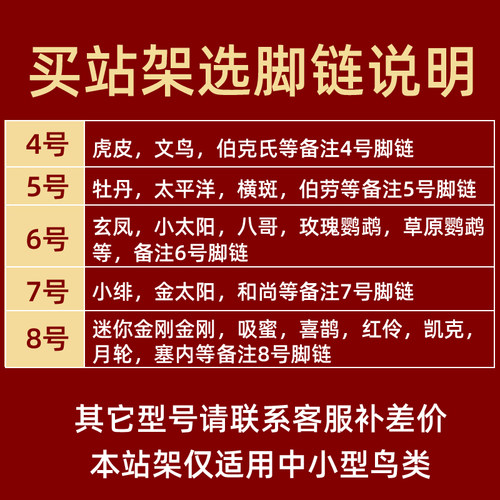 玄凤牡丹虎皮八哥鹦鹉桌面训练落地实木中小型鸟站架子脚链鸟用品 - 图3