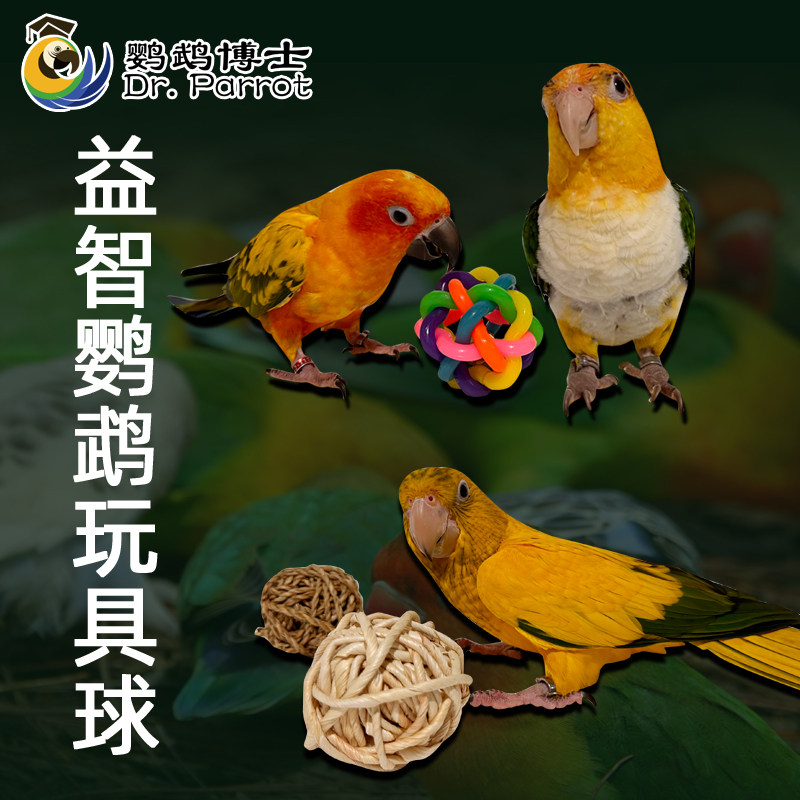 中大型鹦鹉玩具鸟啃咬磨牙磨嘴藤球鹦鹉脚下玩具球宠物鸟用品用具,淘宝优惠券,粉丝福利购,淘宝优惠卷