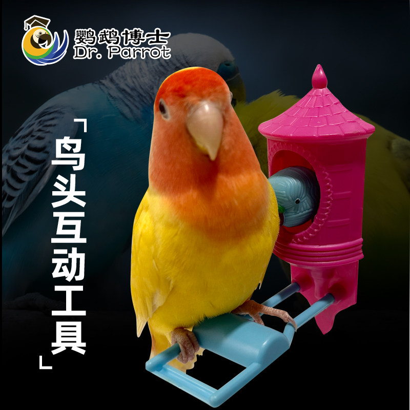 图2
