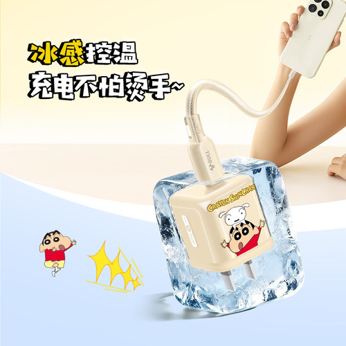 【苹果17首选】公牛蜡笔小新IP联名冰立方充电头适用苹果充电器线iPhone17P快充头16手机typec数据线正品30W - 图0